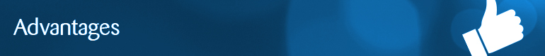 InvestmentHeader_advantages.jpg